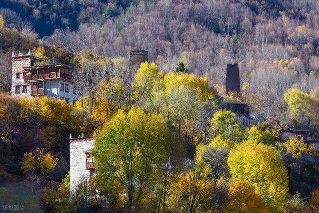 12月-1月适合去的7个旅行地，鲜花雪景，梯田光影，同在一个季节
