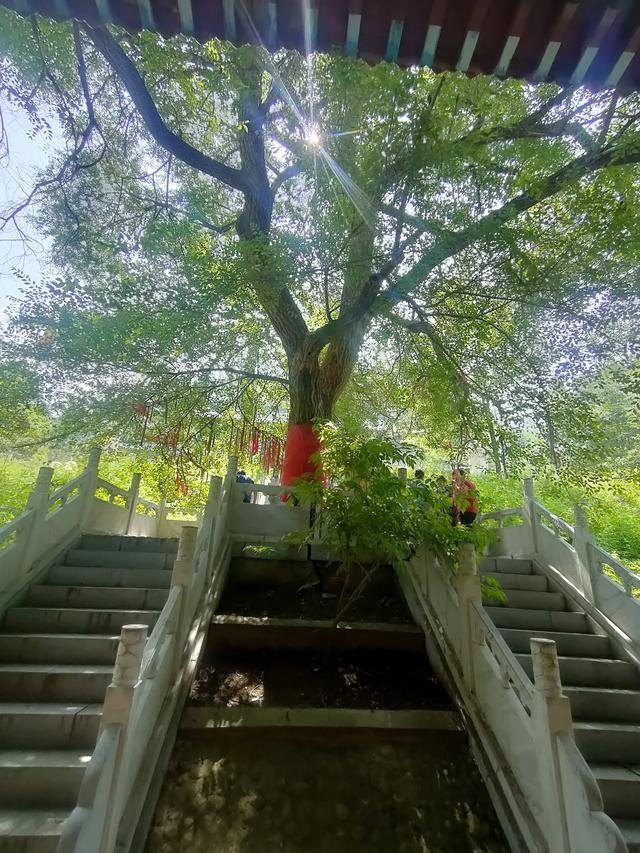 张家口深山藏古寺，景美人不知