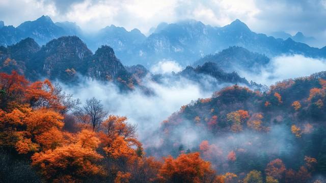 神农架秋色终极指南：这样玩，从入门到精通！