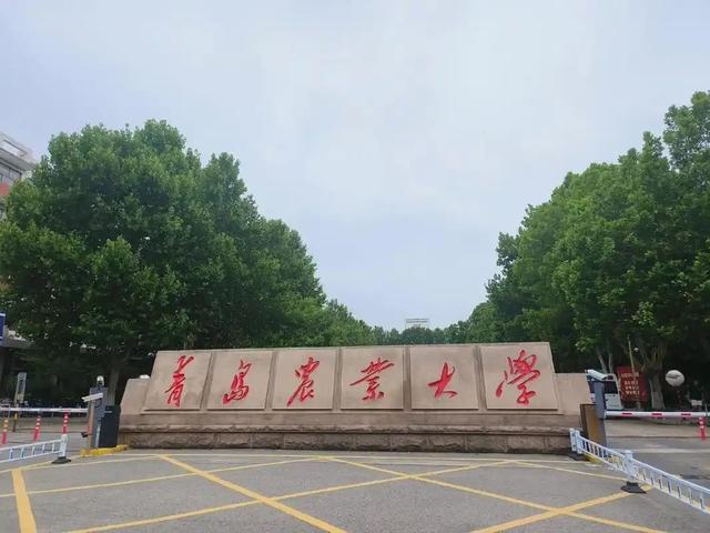 2002年两名混混因抢劫，毁了座二线城市，中国国运也被按下暂停键