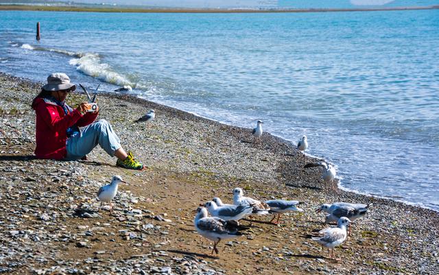 2025秋单骑摩旅青海记