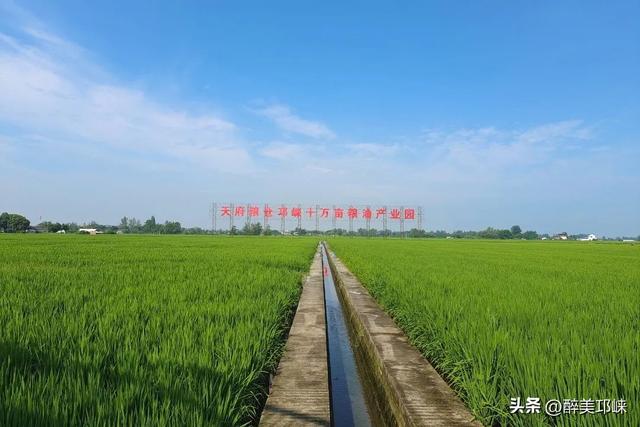 夏崃｜邛崃的夏天，是如此“出彩”