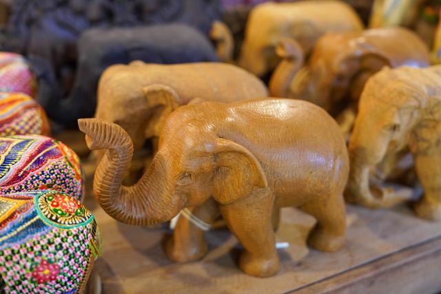 兰纳水灯节疗愈之旅，泰国清道大象训练中心｜和大象做朋友的一天