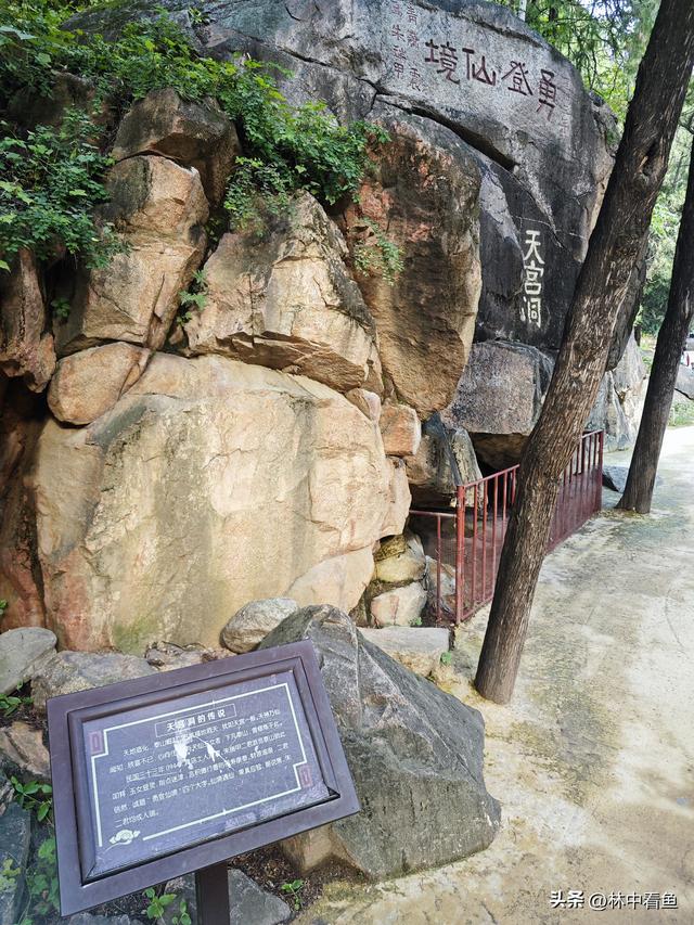 徒步登泰山之一——3小时从一天门到中天门