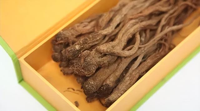 黄芪当归汤，中医补气补血的第一良方