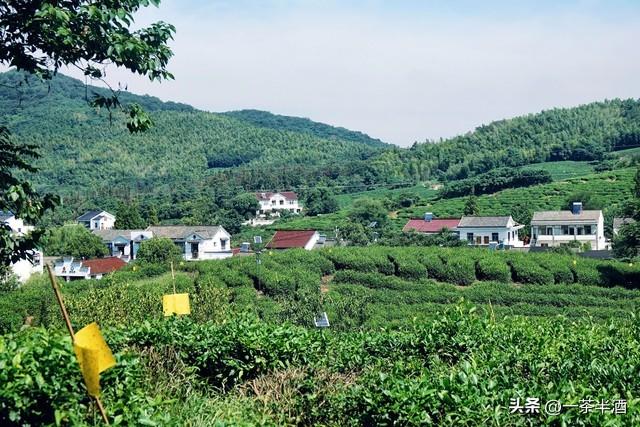 自驾南京全境攻略！六天保姆线路，串联热门景点免费营地特色美食