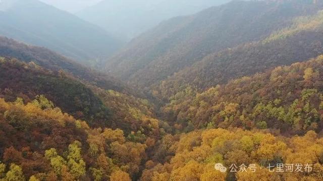 在七里河，和秋天撞了个满怀
