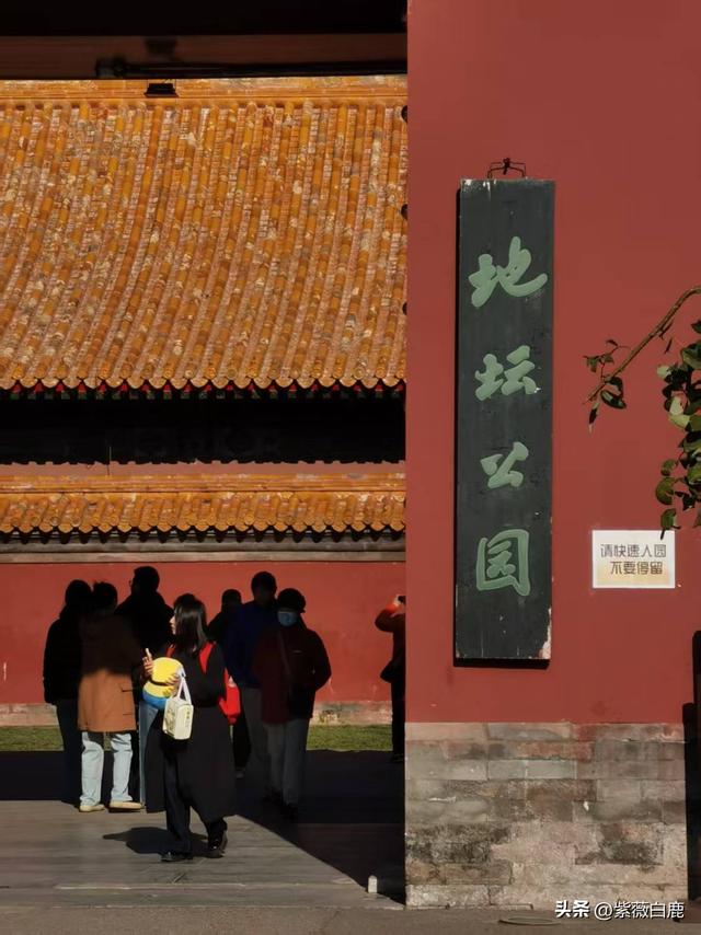 这个秋天，我在地坛