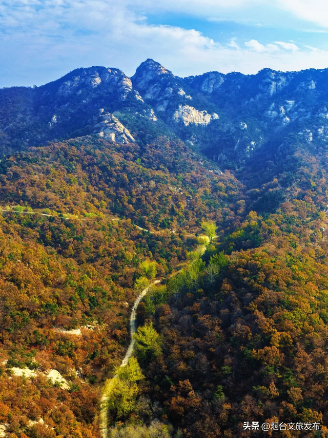 【乐游烟台】目测要火！烟台这座小城最近好看得离谱