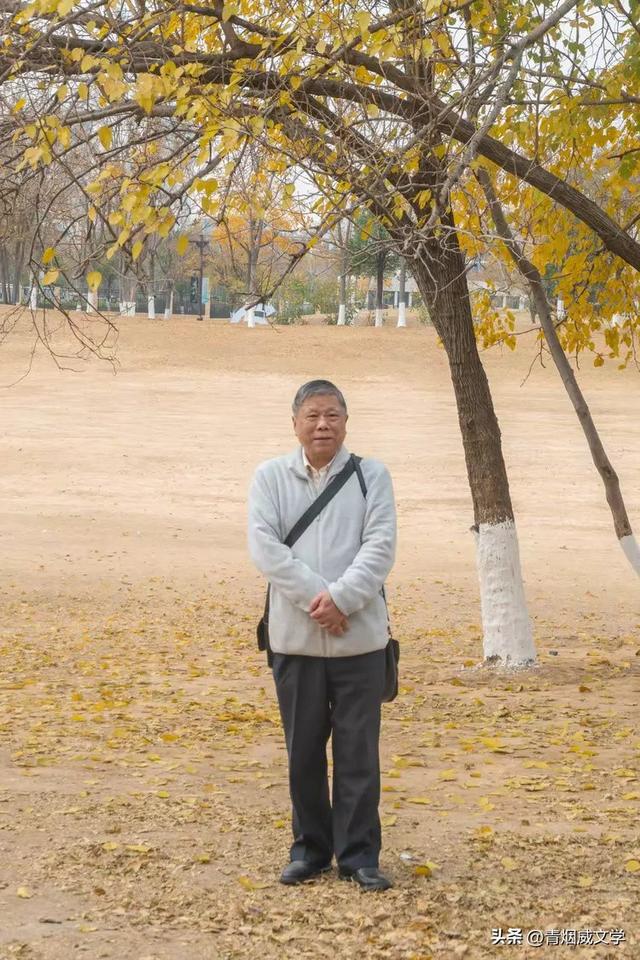 盘龙悠远银杏黄 水中学友情谊长