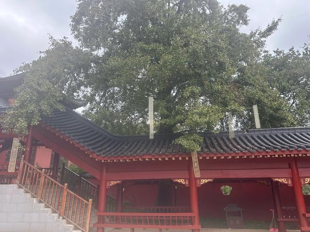 随州仙城山欧阳修纪念馆迎客流高峰 千年文脉引游人追思