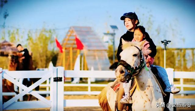 -10°C也拦不住!被窝里哪有马背上潇洒?小泰成功解锁泰安冬季最野玩法!