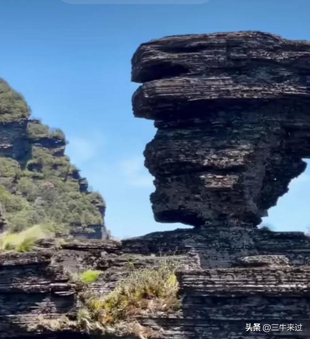 无为在歧路,贵州六日行(15)~梵净山