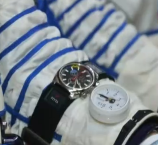 神舟二十一号发射！4只小鼠被带进太空，航天员手腕黑带不简单