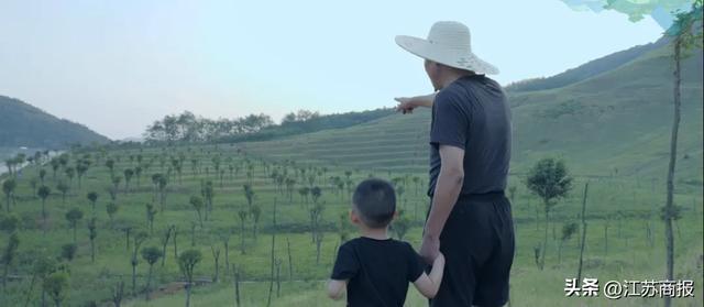 自然资源“两山”行 “灰色伤疤”披绿装——金坛茅东矿区化身“最美风景线”