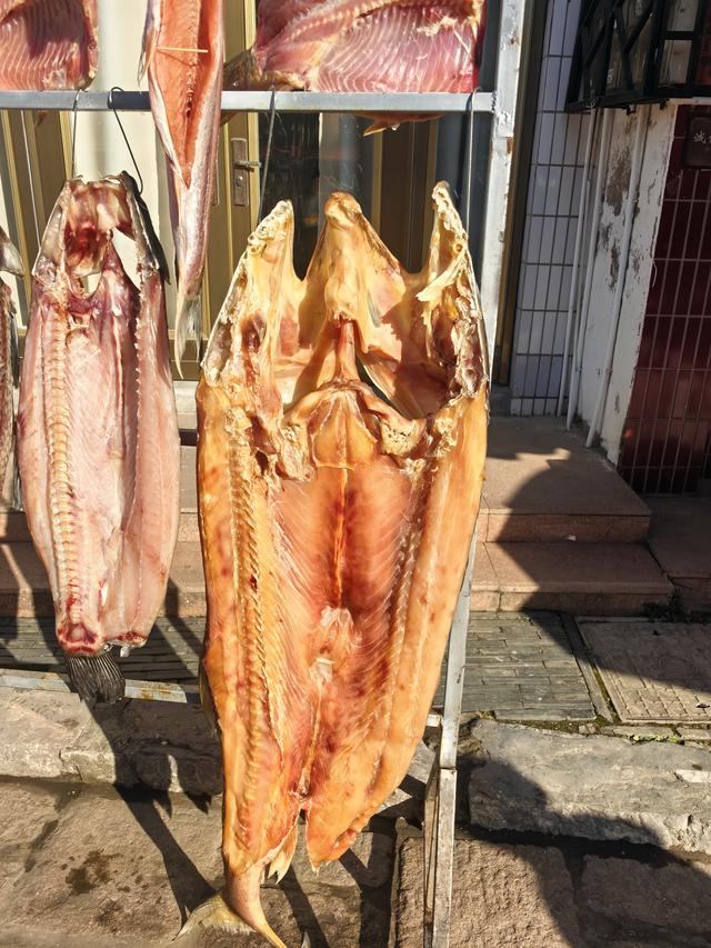 “小上海”有谁来过