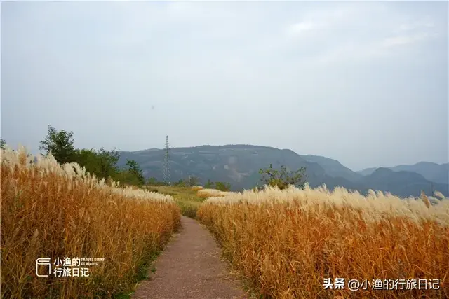 西安自驾2H，超惊艳赏秋路线推荐！红叶进入爆发期，路好景美人少