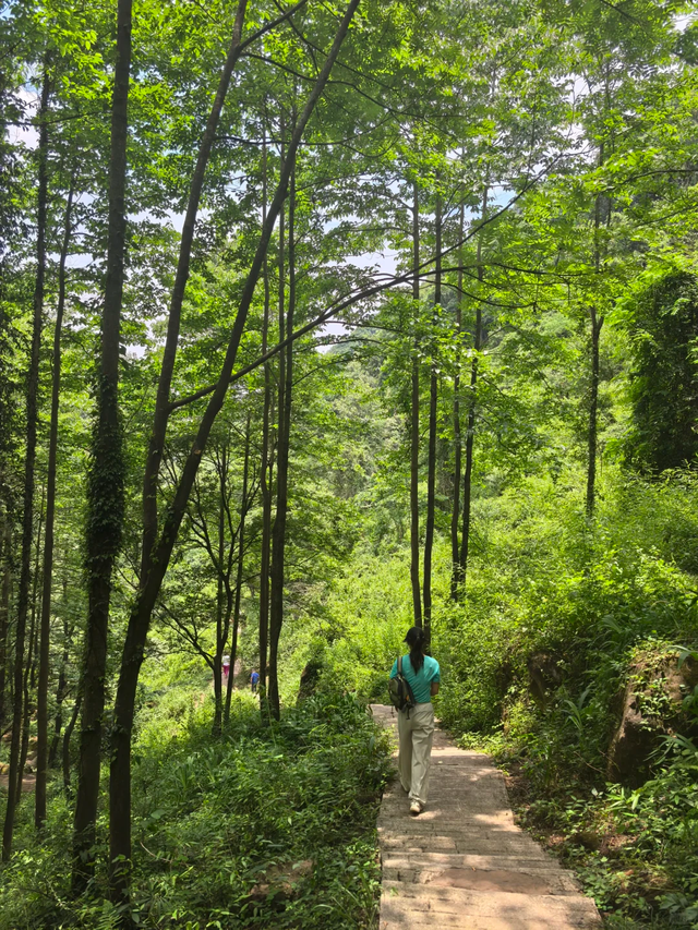 实测低9℃！成都1.5h的免费溯溪玩水遛娃路线，超安逸！