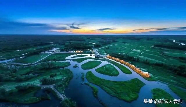 “我在彰武有棵树”生态主题研学游成果显著