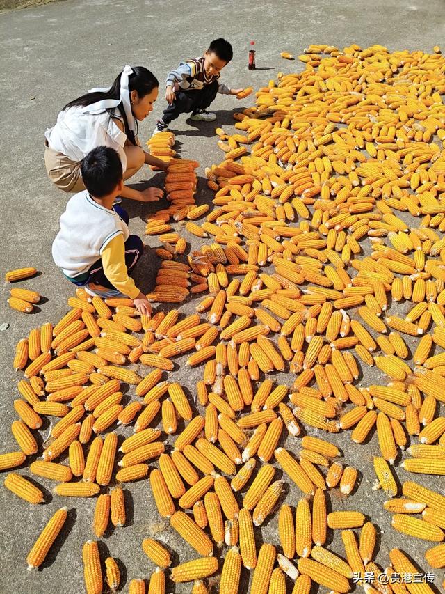 如果想暂别喧嚣，贵港周边这个地方很适合