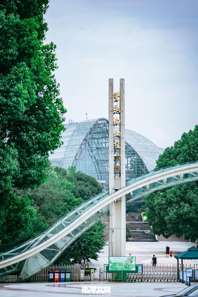 离不开的南岸 | 我在262.41平方公里的“家”里，一觉醒来！