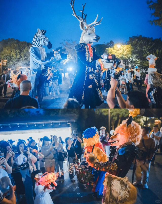 最新！新乡元宵节必看的灯展攻略