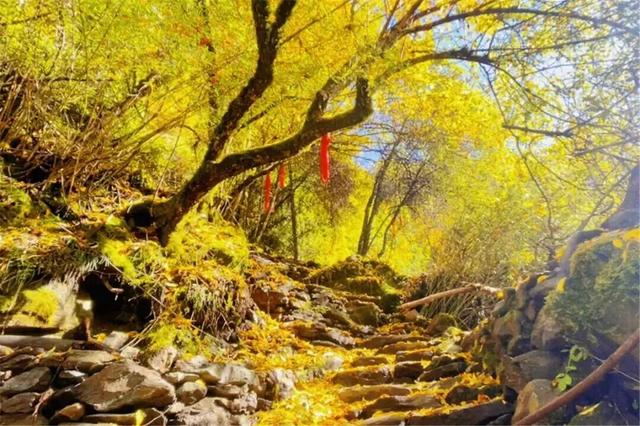 绝美秋色即将上线｜汶川的秋天，不加滤镜都美醉~