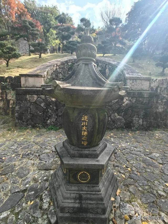 一树金黄,满城风雅!温州这棵著名的古寺银杏再不去就要落叶了