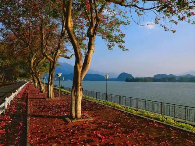 肇庆咖啡嘉年华来了！承包你整个月的快乐