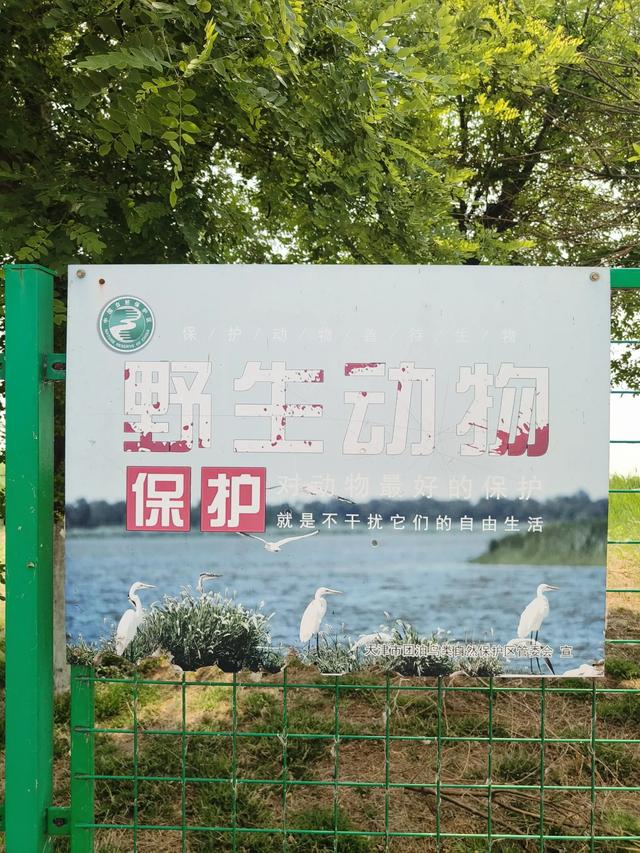 天津《团泊湖》