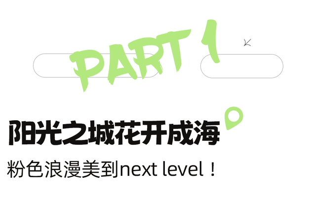 美疯了！高铁直达“四川小三亚”，花海开爆！草莓按盆吃，烧烤香迷糊！