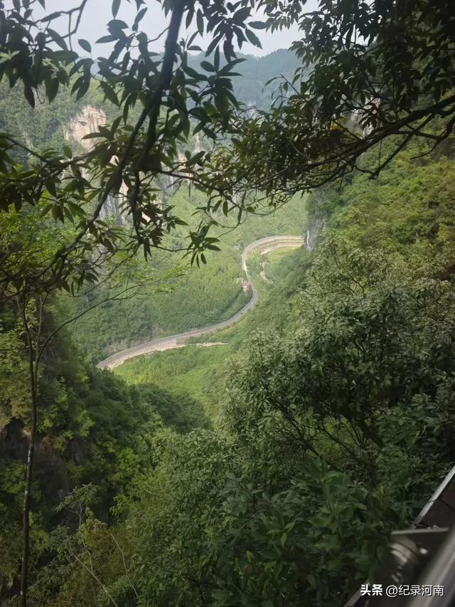人间仙境南阳市西峡县老界岭避暑散记:寻一方清凉,品山野之味