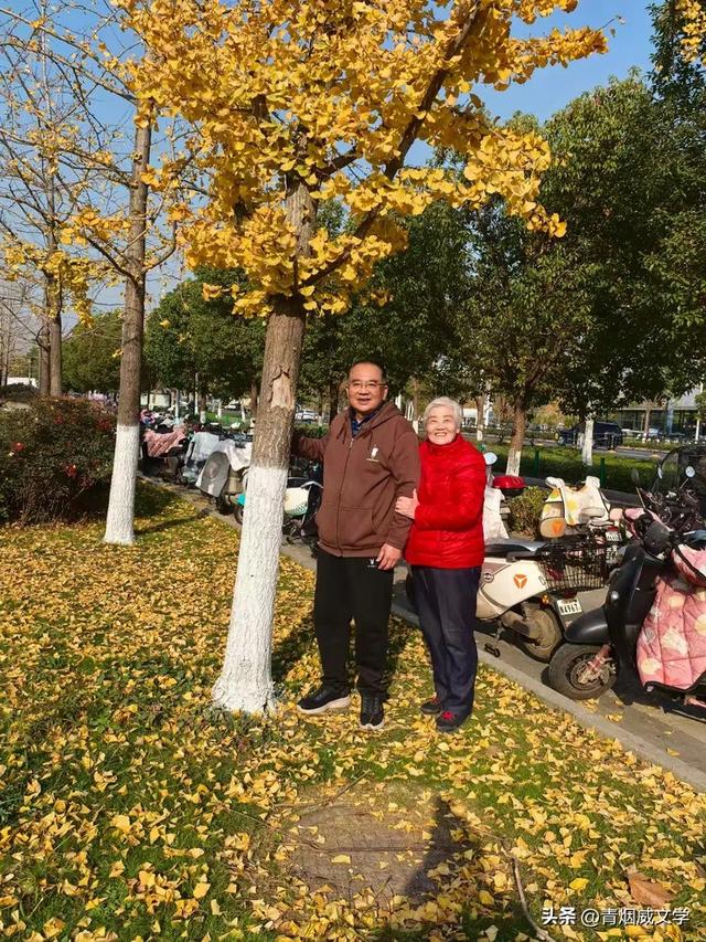 盘龙悠远银杏黄 水中学友情谊长