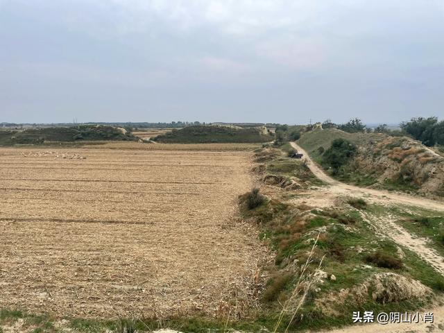 呼和浩特市托克托县田野考察笔记