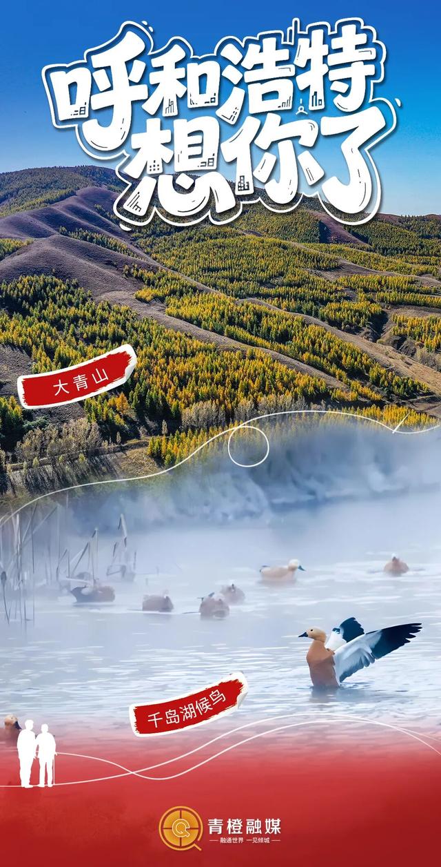 快请年假！这次真被呼和浩特暖到了！