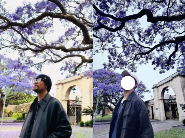 澳洲一年一次的绝美风景再度刷屏! 周杰伦也在打卡, 华人狂偶遇