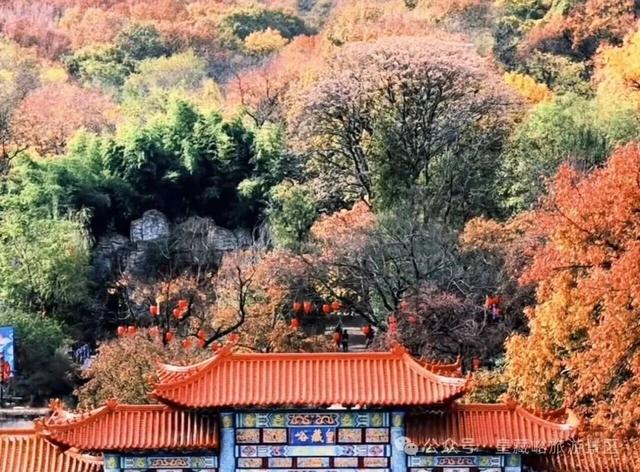 不止有红叶！皇藏峪NPC互动解锁新玩法