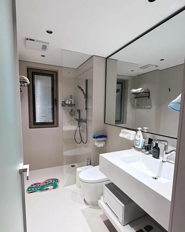 主卫淋浴房“正退出”中国家庭？看看年轻人的家里	，那叫一个高级