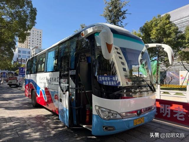 “一站直达”畅游春城，昆明直通车人气爆满！去海晏村、轿子山太方便啦！