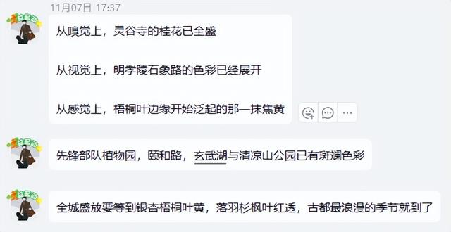 高铁1h！比西安秀美！这座千年古都秋色绝了！高光仅20天！