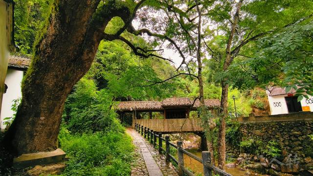 皖浙摩旅二人转——松阳横坑村篇（下）
