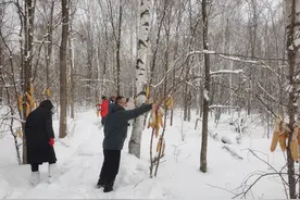 吉林哈泥国家级自然保护区：雪中投食帮助野生动物安全越冬图片