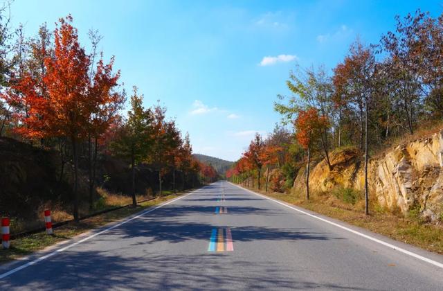 一键收藏!明光南部2025年秋景大赏