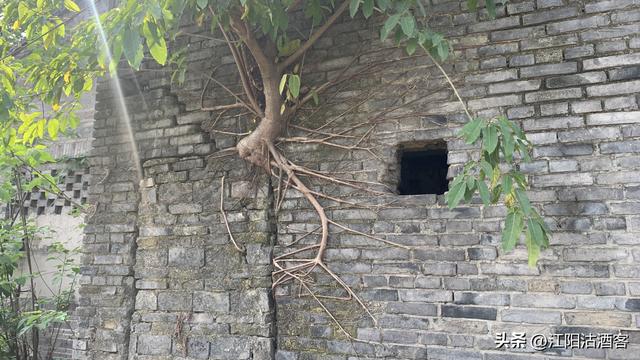 立马五峰天地小，群山俯首拜英雄，泸州小市五峰顶有历史