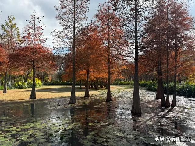 随走呈贡大学城，逛梁王湖、转小土林，感受多彩的秋冬世界，休闲