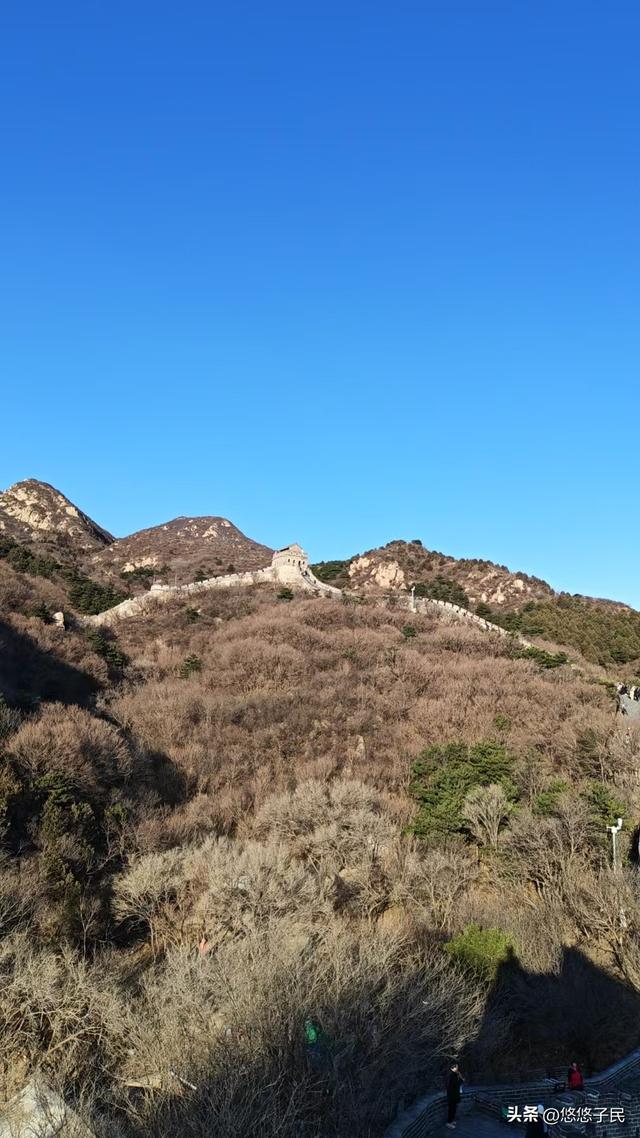 不听俺的言，活该受风寒
