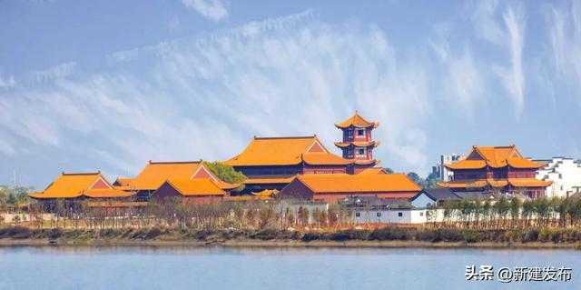 蓼子花海，候鸟翩跹醉初冬