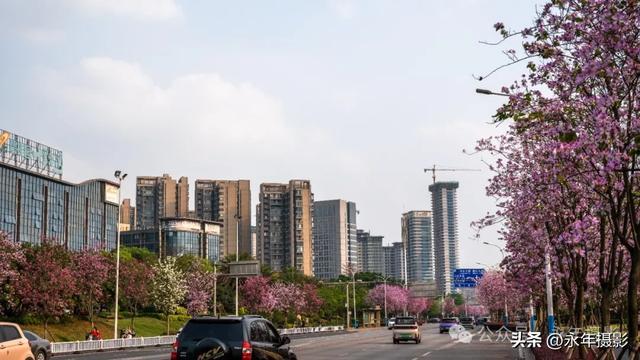 自驾环游中国行（二十九）广西柳州到桂林十里画廊
