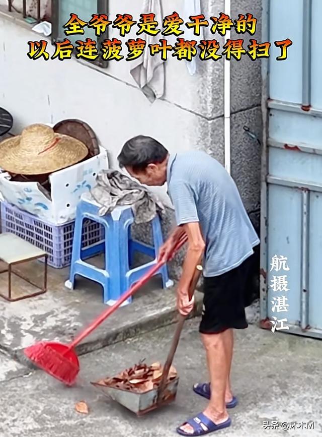 为避台风，全红婵爸爸把几十年树龄的菠萝蜜树都砍了，真的很可惜