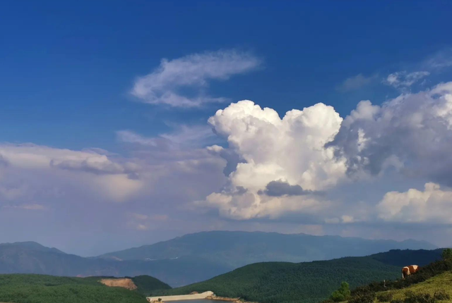 大理鸟吊山反转惊人，网红宣传后拒游客，保护与流量的博弈